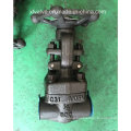 API602 800lb Forged Steel A105 Thread End NPT Gate Valve